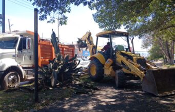 Tulancingo transforma la imagen con reforestación atinada en el bulevar Emiliano Zapata