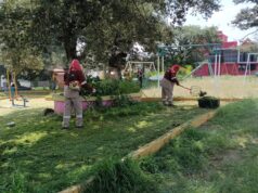 Atiende Parques y Jardines de Tulancingo crecimiento de maleza por lluvias