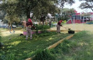 Atiende Parques y Jardines de Tulancingo crecimiento de maleza por lluvias