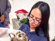 Pachuca destaca a nivel nacional con programa de formación profesional en la Unidad de Fauna