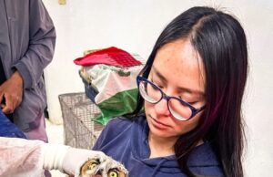 Pachuca destaca a nivel nacional con programa de formación profesional en la Unidad de Fauna