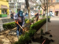 Tulancingo se suma a la Jornada Nacional de Reforestación