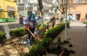 Tulancingo se suma a la Jornada Nacional de Reforestación