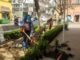 Tulancingo se suma a la Jornada Nacional de Reforestación