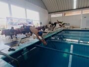 Primer torneo de natación en la unidad deportiva de Tulancingo