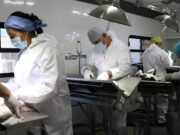 Aplicó SSH más de 2.5 millones de vacunas antirrábicas y realizó cerca de 140 mil esterilizaciones