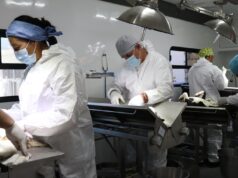 Aplicó SSH más de 2.5 millones de vacunas antirrábicas y realizó cerca de 140 mil esterilizaciones