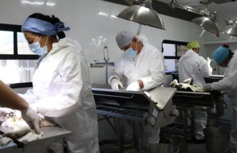Aplicó SSH más de 2.5 millones de vacunas antirrábicas y realizó cerca de 140 mil esterilizaciones