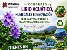 Abordarán retos del lirio acuático y los humedales en congreso organizado por Citnova