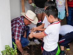 Centro Pilares DIF realiza huerto familiar para fortalecer el cuidado del medio ambiente