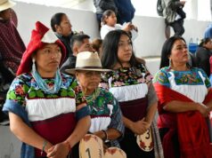 Abren convocatoria para la 12.ª Feria del Mole de Santa Ana Hueytlalpan
