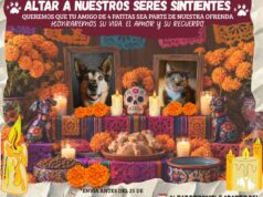 Sanidad municipal lleva el bienestar animal a la Fiesta de los Muertos 2026