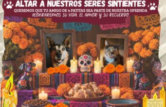 Sanidad municipal lleva el bienestar animal a la Fiesta de los Muertos 2026