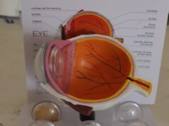 Desarrolla UPT sistema de bajo costo para mejorar imágenes de retina