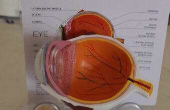 Desarrolla UPT sistema de bajo costo para mejorar imágenes de retina