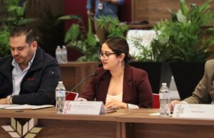 Acuerda Consejo Estatal de Salud frente común contra muertes maternas, COVID-19 y males crónicos