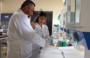 Desarrolla ITESHU película ecológica a base de residuos de maguey para sustituir el mixiote natural
